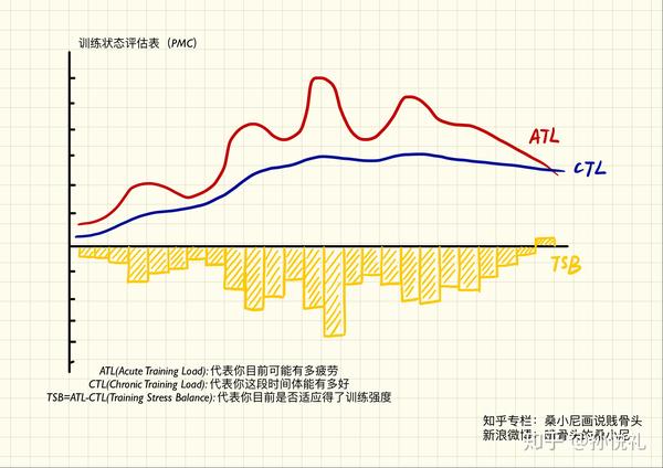 运动能提高免疫力吗?