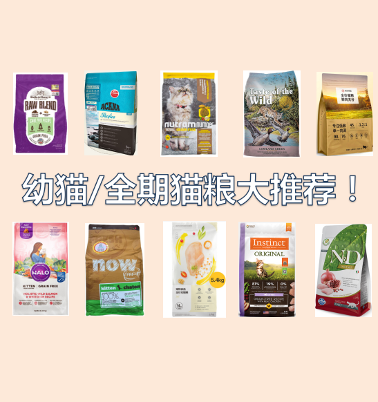 v2-24675dc921626bd9277a01854e5707c0_1440w.jpg?source=172ae18b