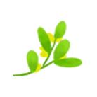 一篇读懂（以茶品人）以茶礼什么意思，以茶为道：品茶的礼仪，77导航，