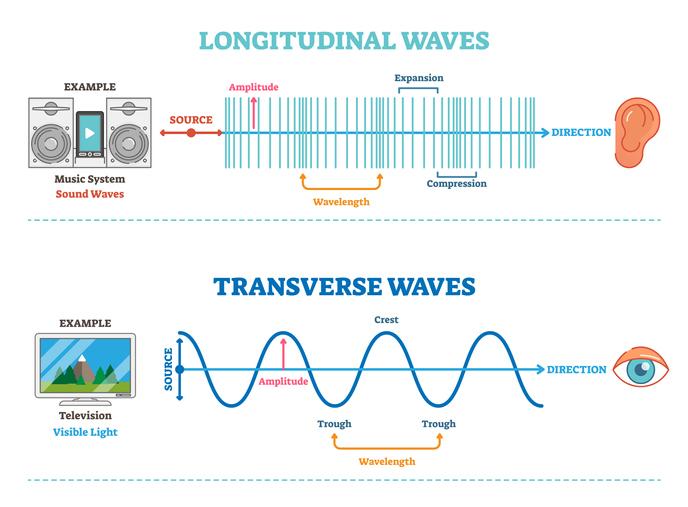 每日一词:波的种类 (Wave types) - 知乎