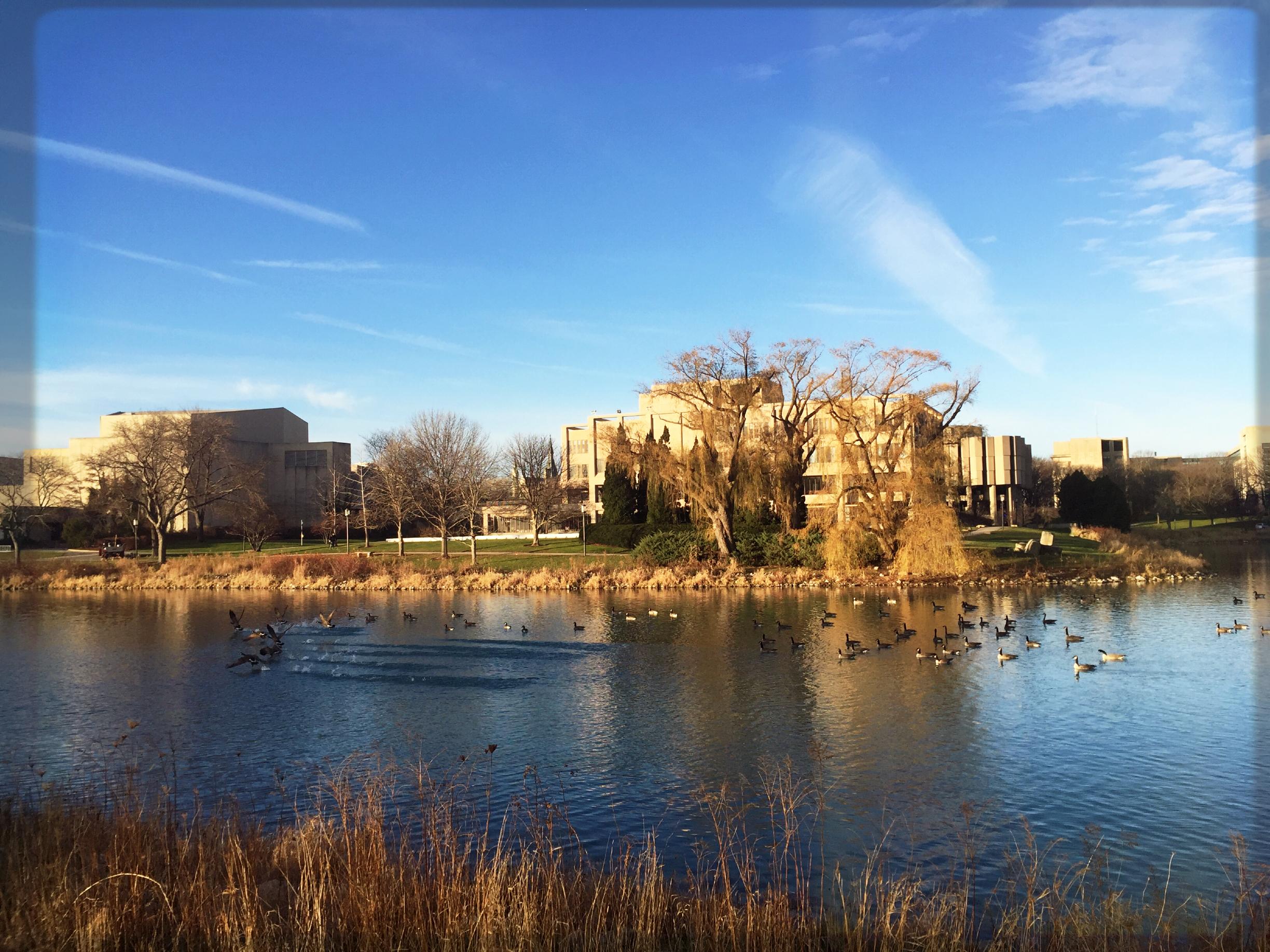 在美国西北大学 (northwestern university) 就读是怎样一番体验?