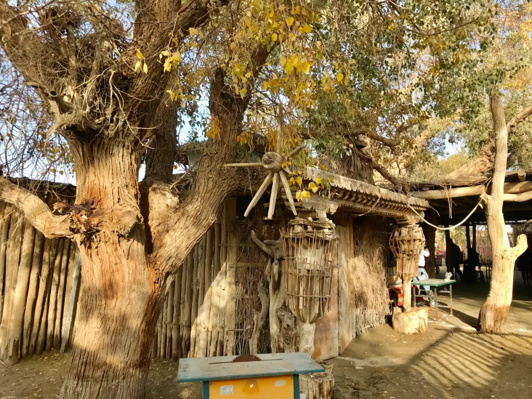 深入罗布泊穿越大海道新疆这个无人区内隐藏着世界级景观