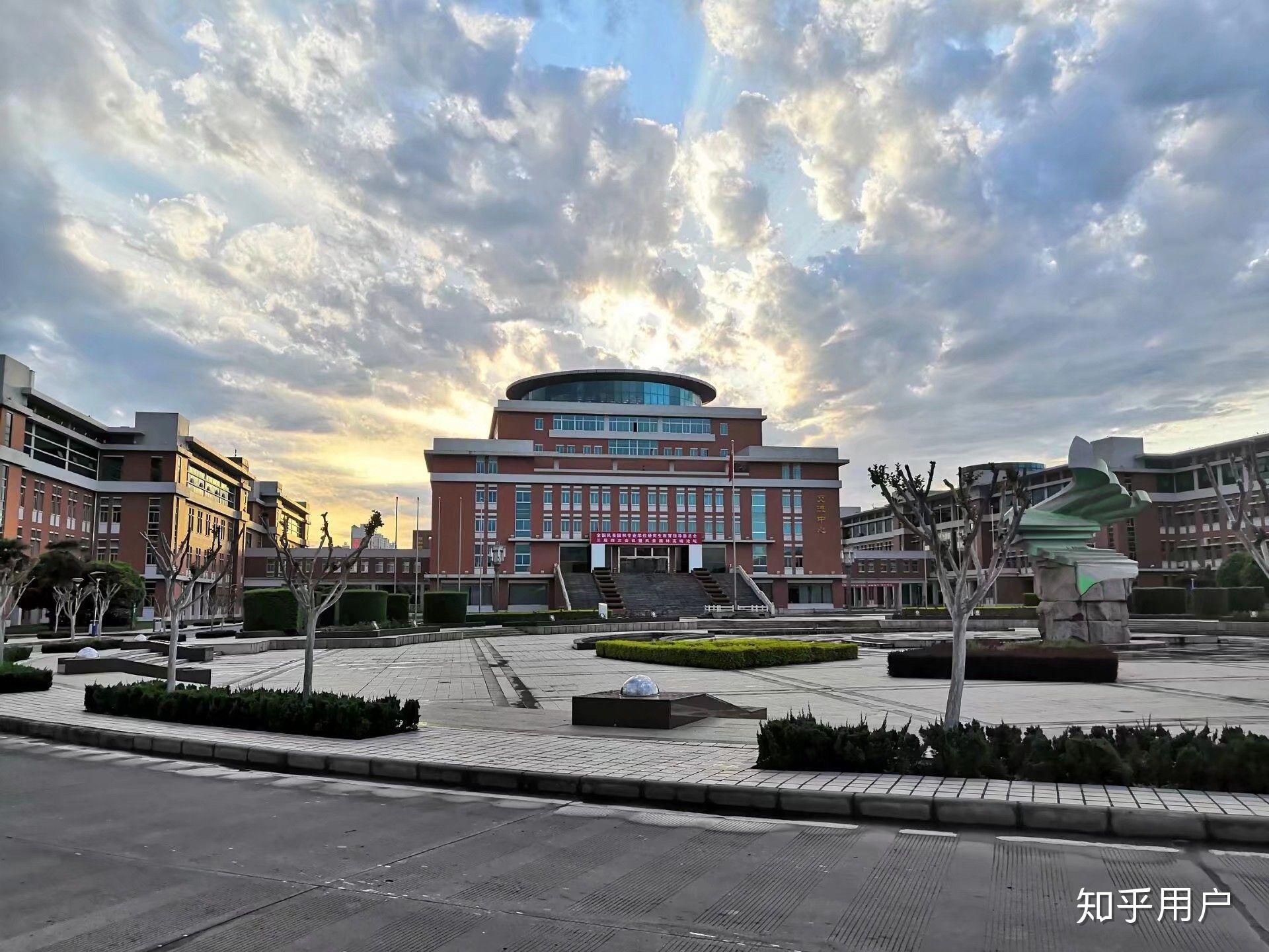 西北农林科技大学的董帅案,在哪可以看到官方发布的结案信息?