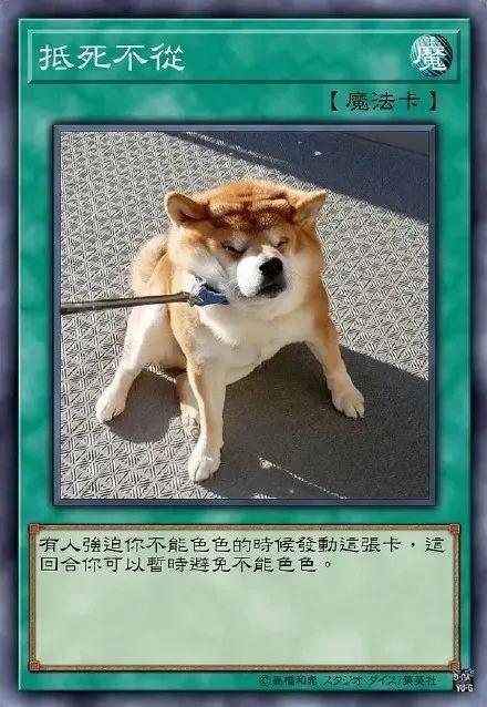 色色柴犬卡牌