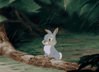 700_512gif 动态图 动图