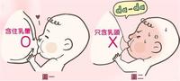 你以为宝宝天生就会含乳?no!含乳也需要不断的练习哟!