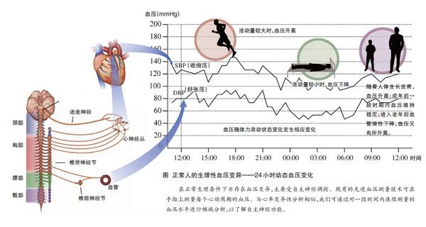 高血压病发现与发展前生今世 - 知乎