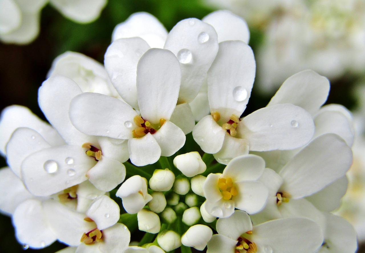 3. 卷材平米单价