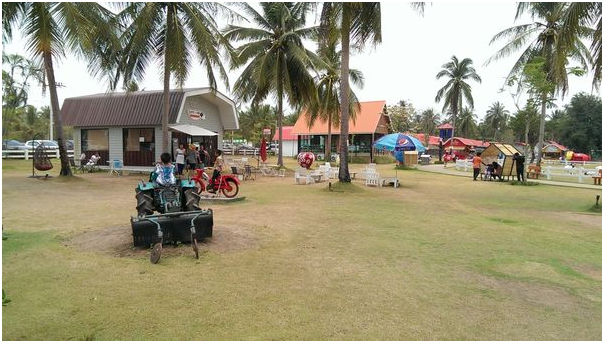 去泰国,求推荐景点?