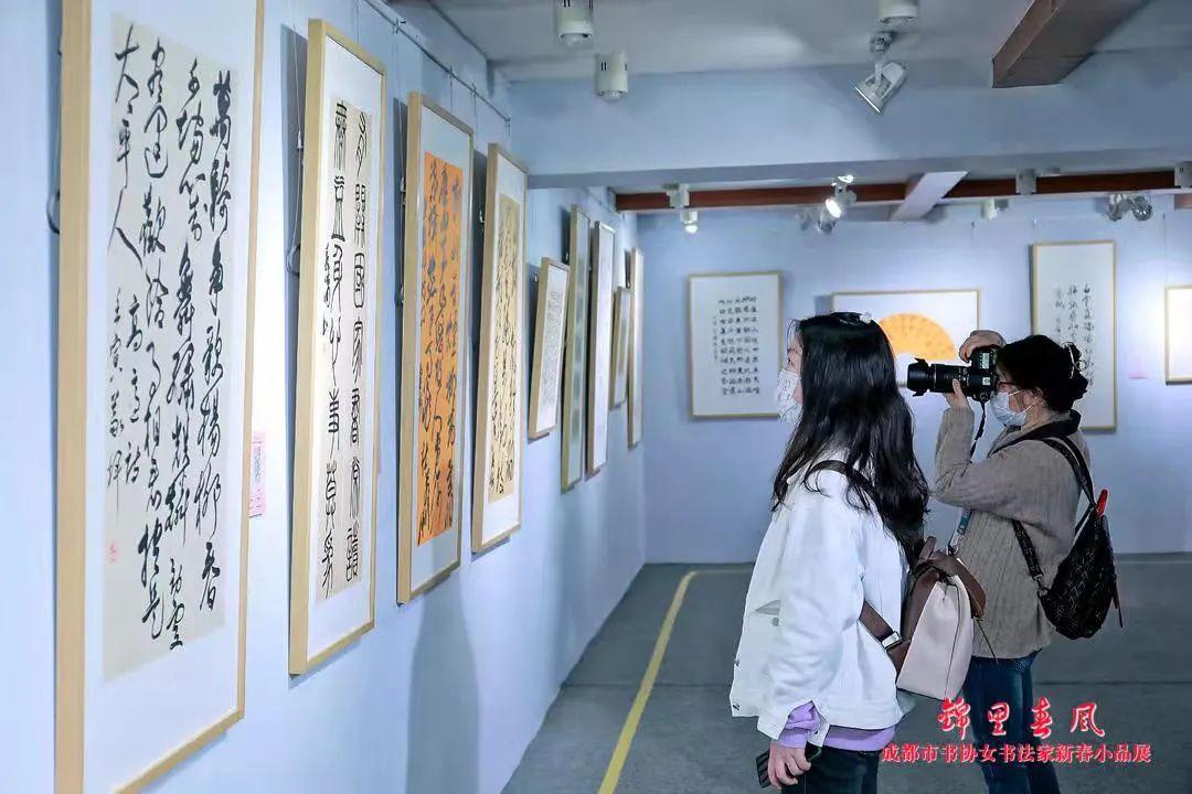 锦里春风成都市女书法家新春书法小品展开展