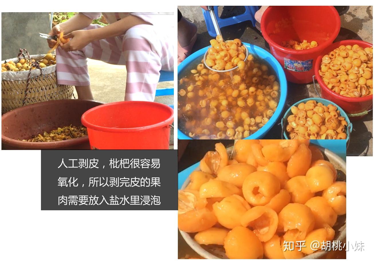 怎么样自己制作琵琶 v2-24ad228a63b63c843c0f2ec7245c2572_r.jpg