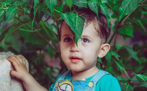 v2-24b5f4e1f40c09e7024d335af6ce40f2_1440w.jpg?source=172ae18b