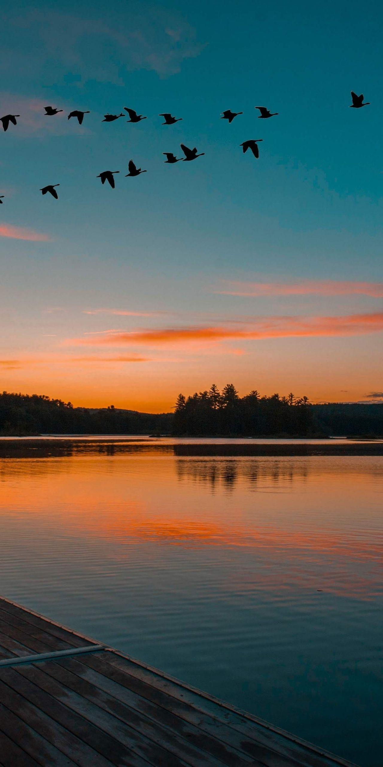 有没有很阳光清新绿色自然让人心情好的风景壁纸