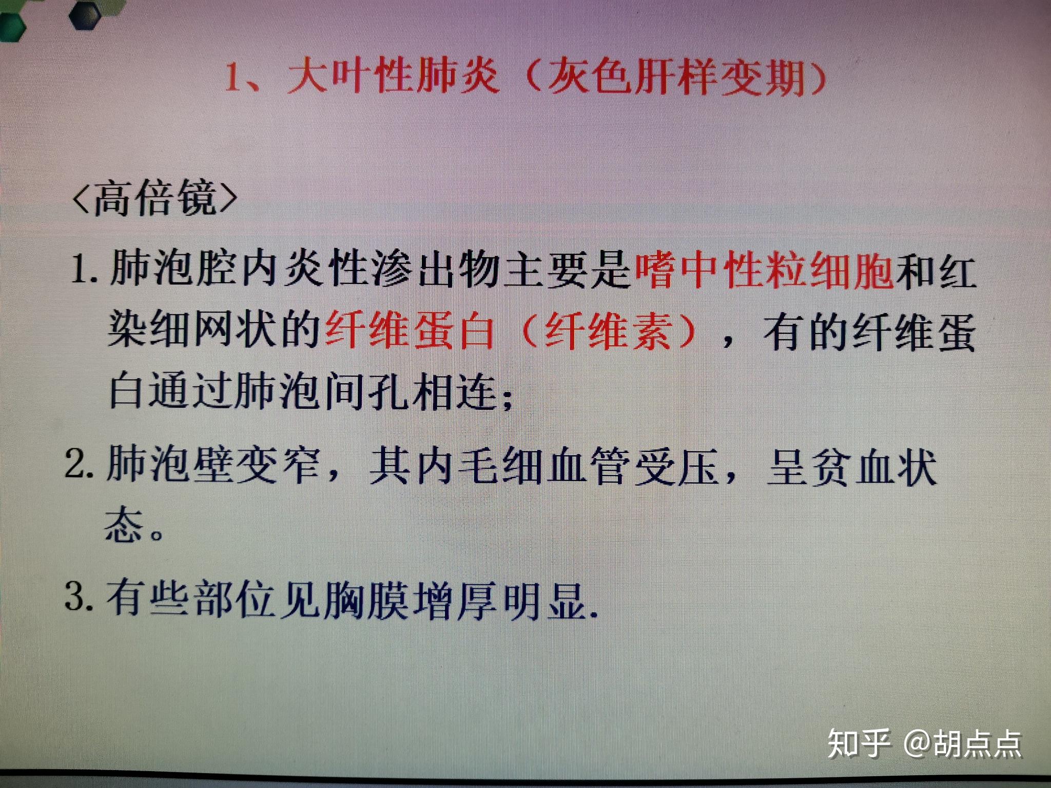 大叶性肺炎小叶性肺炎病理组织切片