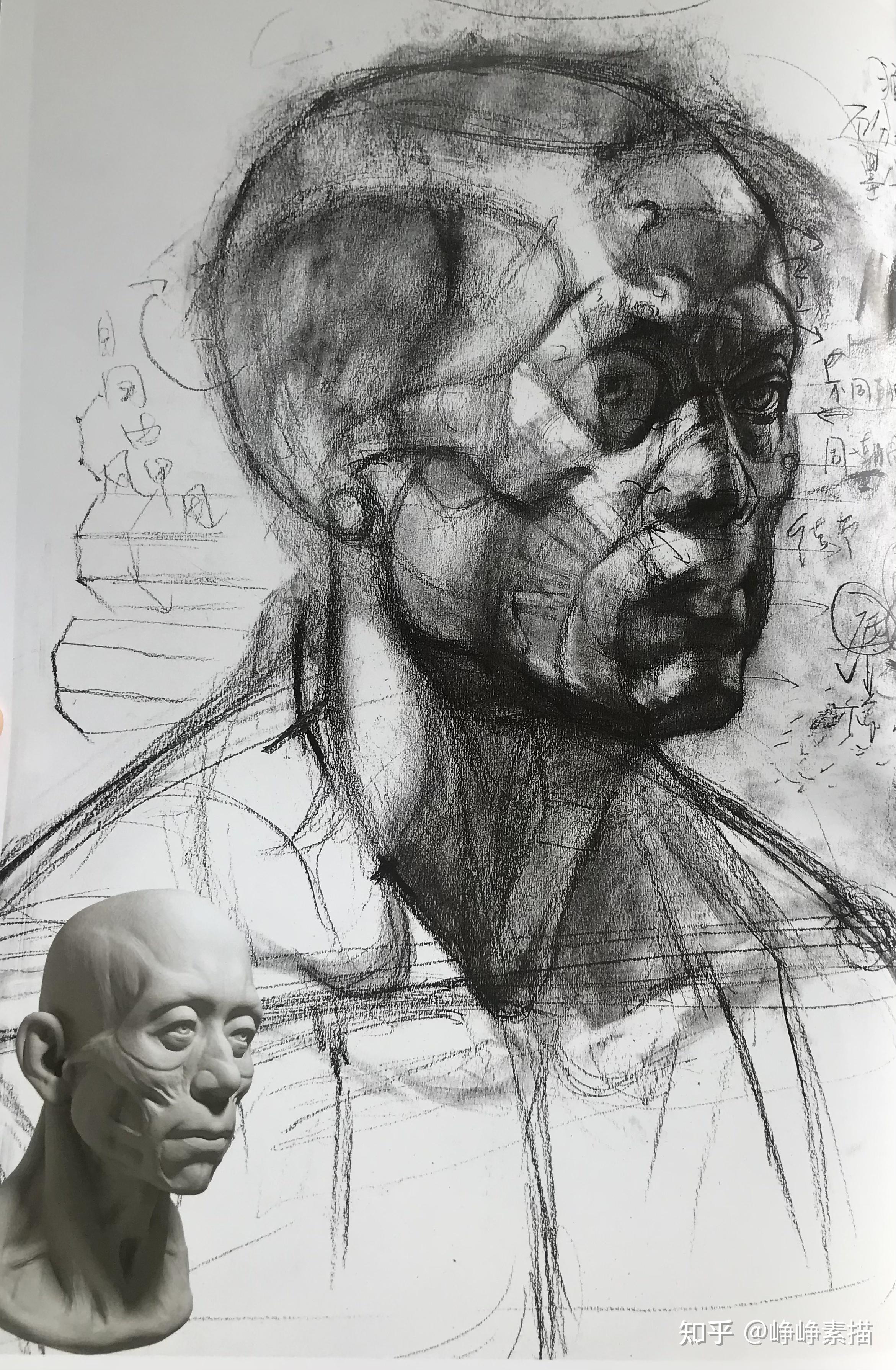 一素描头像基础知识32肌肉的讲解