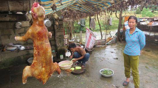 活剥溺死揭秘越南血淋淋的猫肉市场