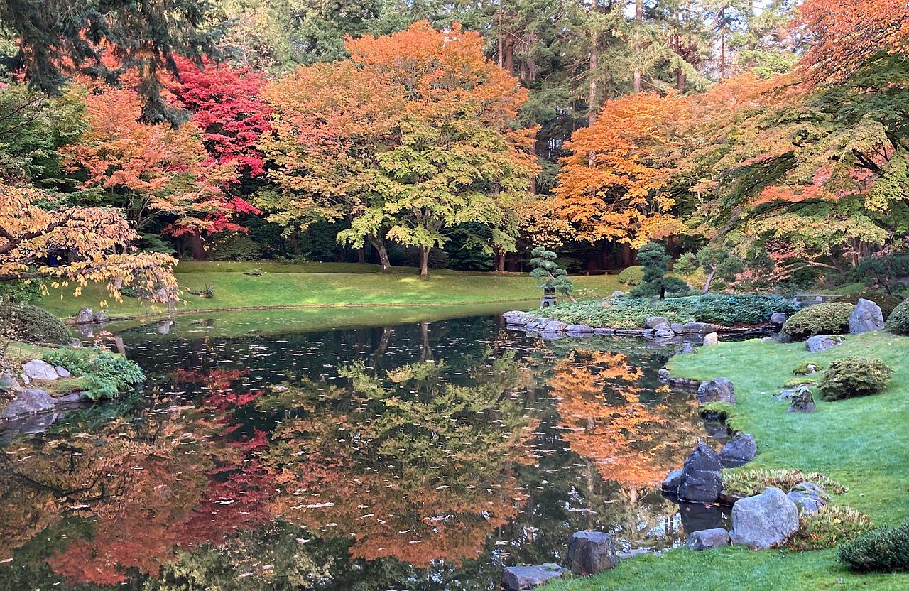 纽约后花园多少面积