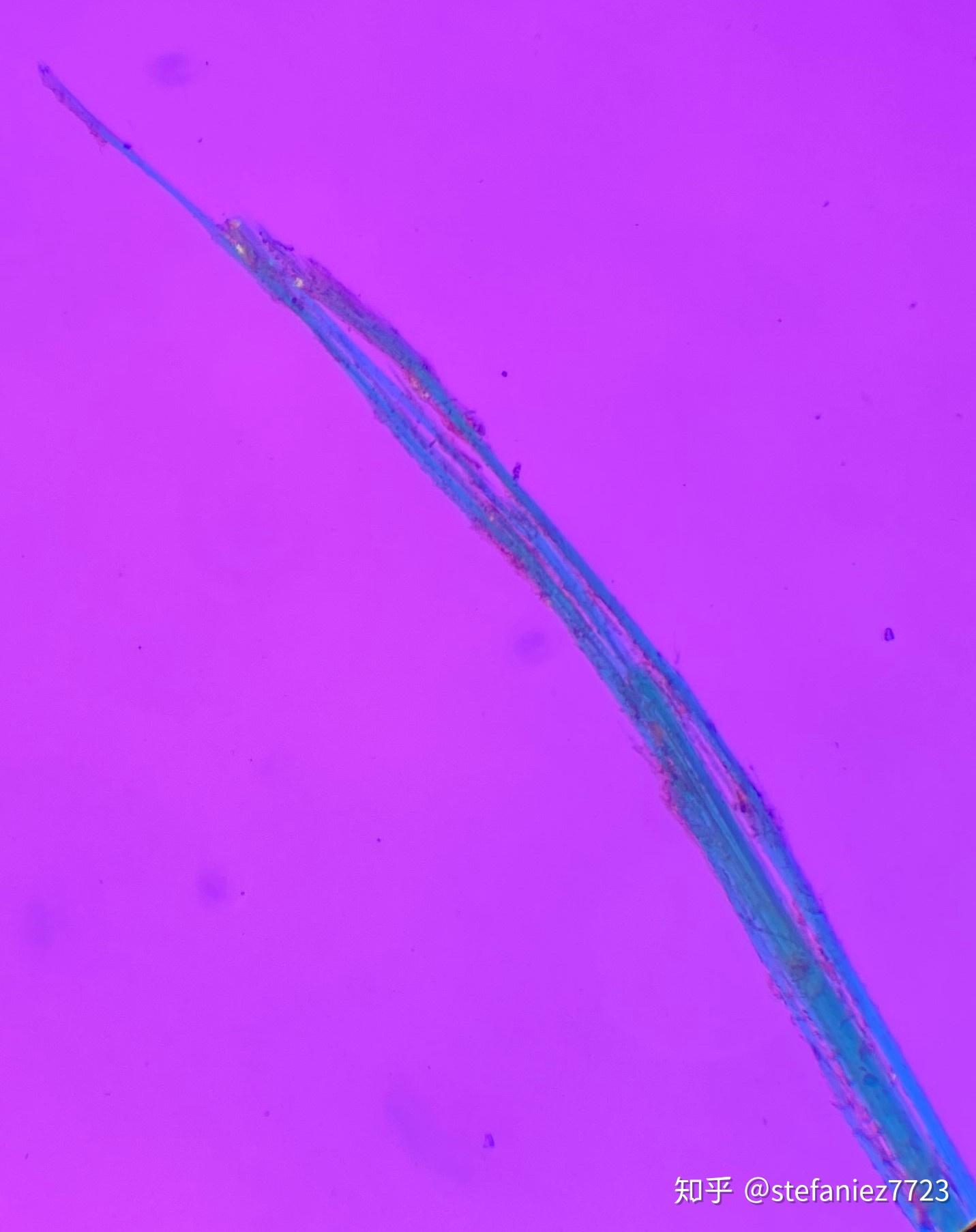 三种主要石棉(Asbestos)的实验室鉴别 - 知乎