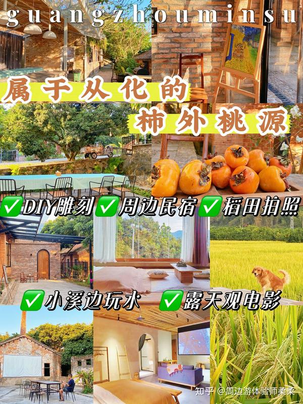 广州民宿｜从化南平小镇秋天旅行体验摘柿子村🌾看金灿灿稻田 - 知乎