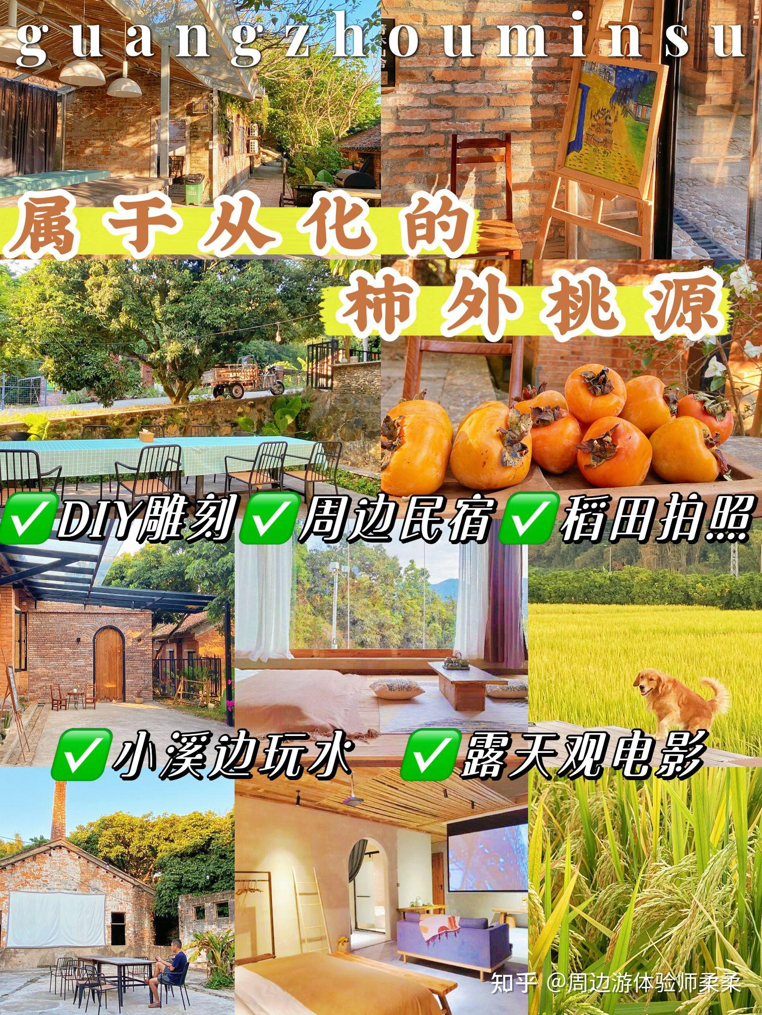 广州民宿｜从化南平小镇秋天旅行体验摘柿子村🌾看金灿灿稻田 - 知乎