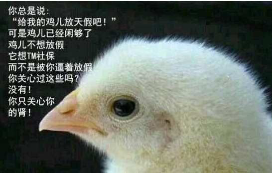 拖延症的秘密你知道多少