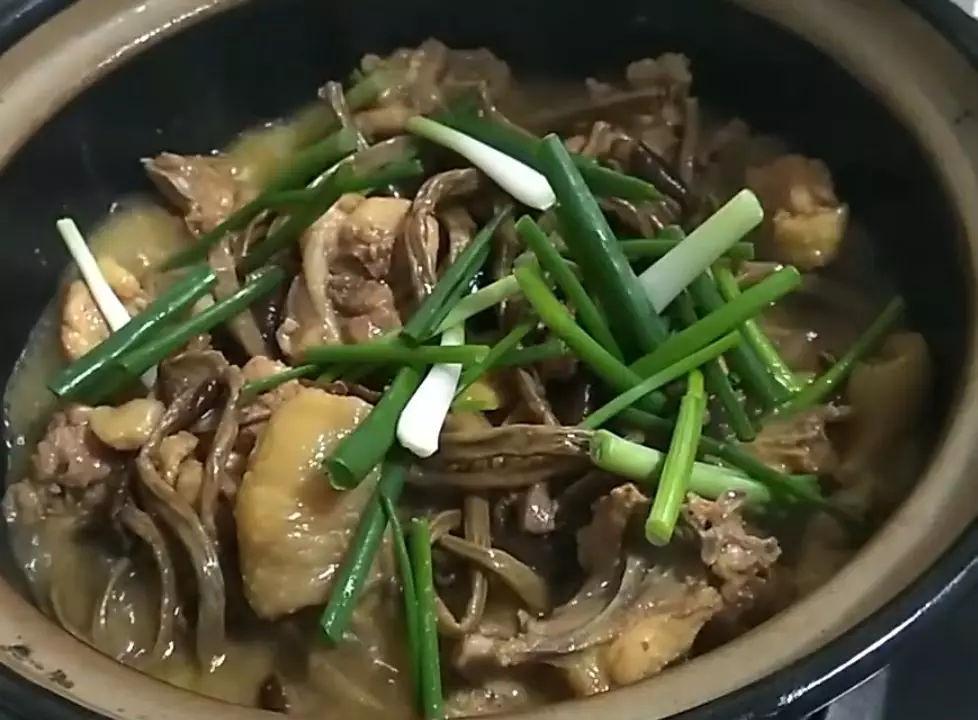 茶树菇炖鸡就得这么做家人都爱吃做法简单上桌就被抢光了