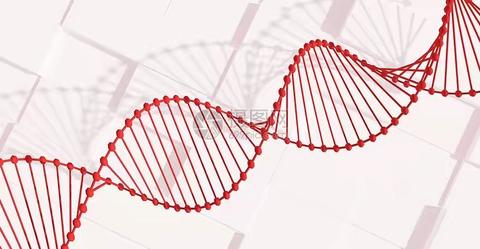偷偷给你个暗示 人的基因结构是双螺旋 双螺旋结构是一种盘旋上升的