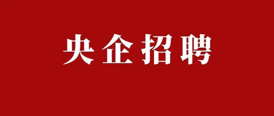 国电电力招聘_关于能源可持续发展,董事长和WBCSD的CEO说了啥(3)