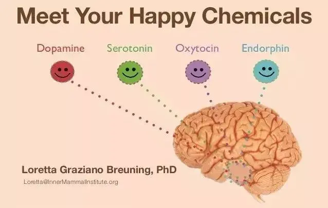 啡肽(endorphin)亦称安多芬或脑内啡,是一种内成性(脑下垂体分泌)的类