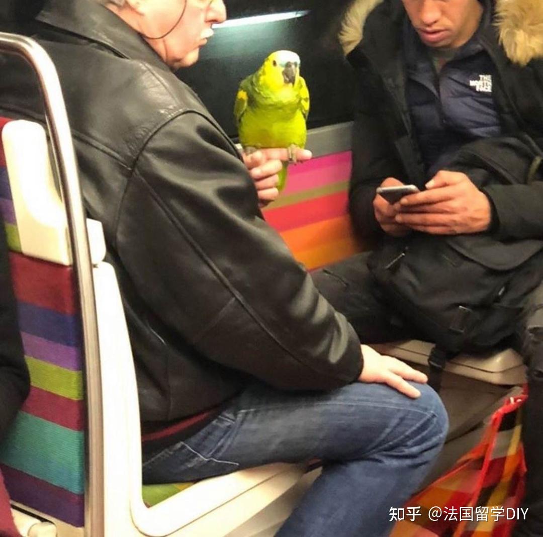 巴黎地铁沙雕行为大赏,不坐地铁你永远都不知道巴黎人的创造力有多