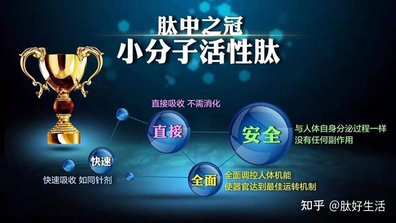 编舟记