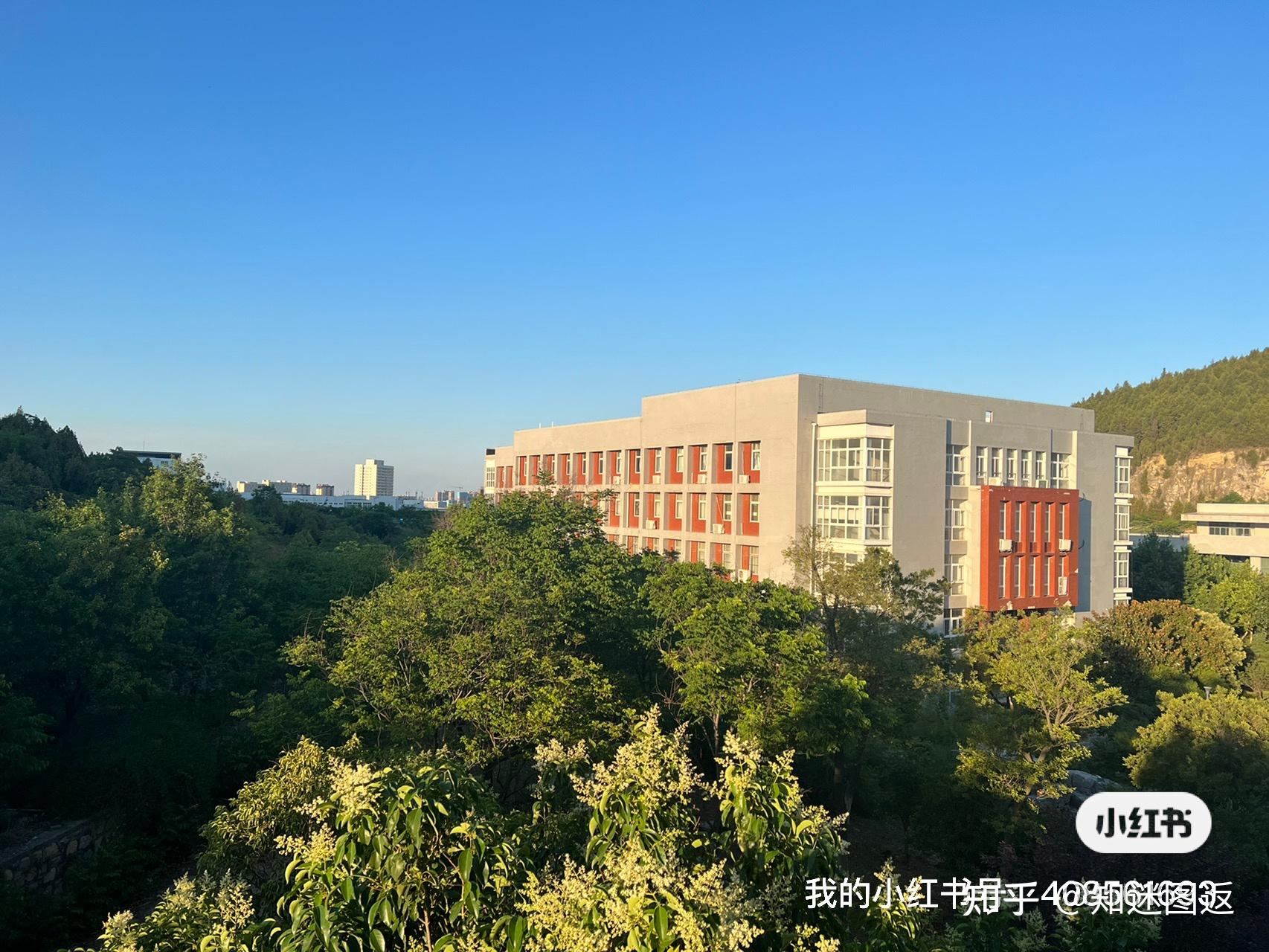 师范大学中外合作 知迷图返 迷茫男高,寻找富婆 江苏圣理工学院-中俄