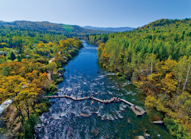 40度高温的河南,小兴安岭深处的避暑山城火了,万顷森林覆盖,负氧离子