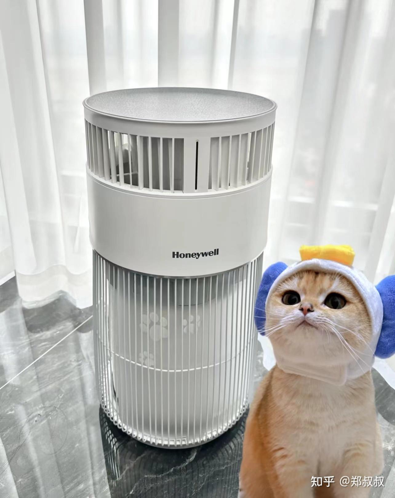 吸猫毛的空气净化器 v2-252fe738c2d720e77072b6d9faedb252_r.jpg