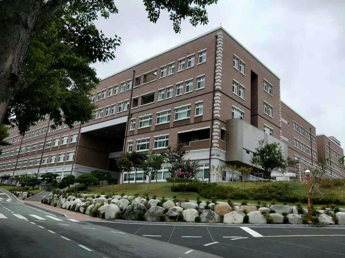 现在大学已过三个月还能够复读高三吗