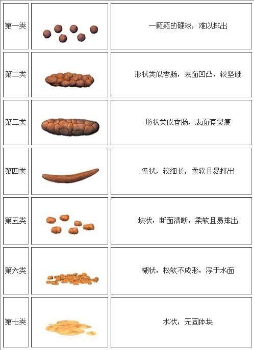 人体内部的变化必然在外部有其表现,内脏功能的正常,可通过经络将气血
