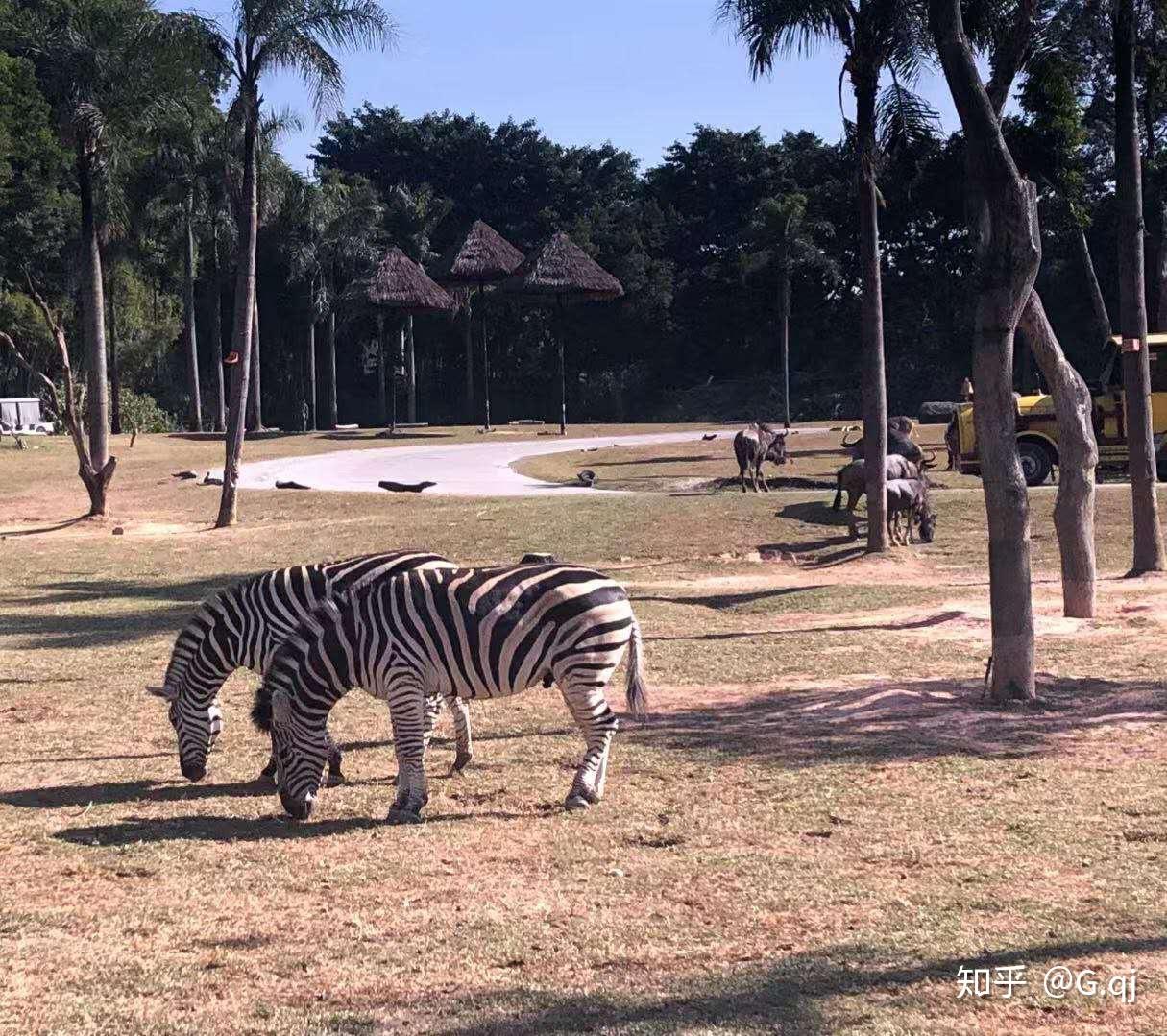 如何看待上海野生動物園飼養員實施作業時被熊攻擊不幸遇難一事類似