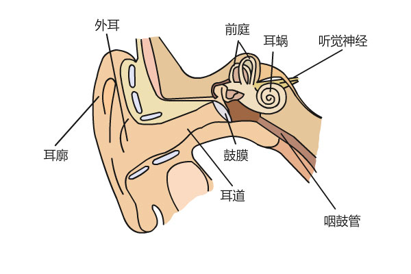 v2-254b511d53e4bf091756d607033b3e57_1440w.jpg?source=172ae18b