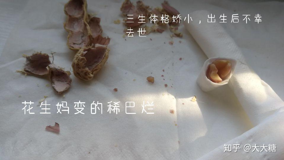 嘶声裂肺的意思 v2-2551bd9ad25d61c21276d5e822c37974_r.jpg