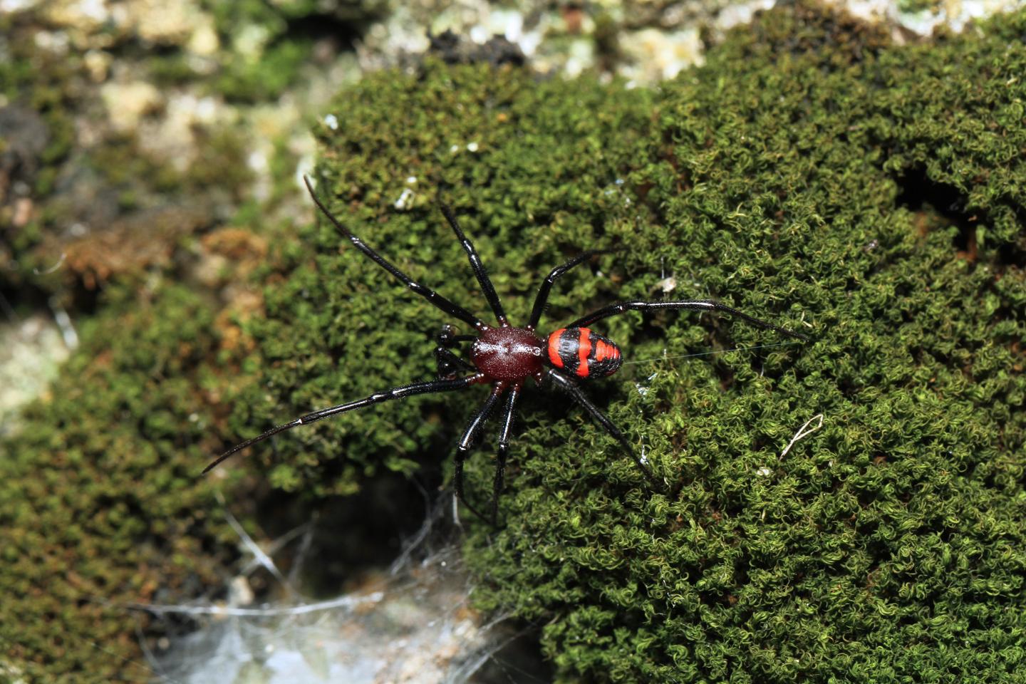 贵州草海小记 知乎