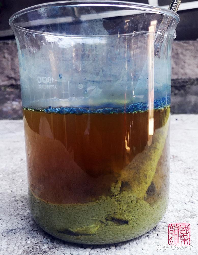 欧洲菘蓝染色实验 - 知乎