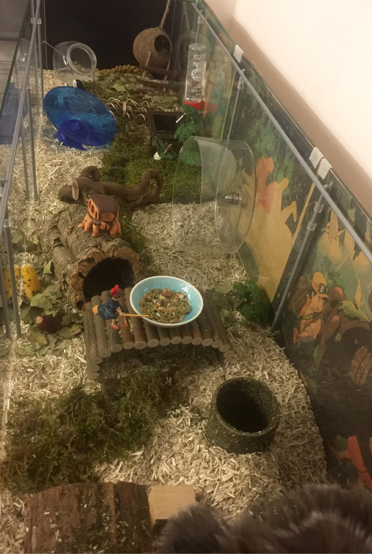 有哪些既实用又美观的仓鼠笼子推荐? - 知乎