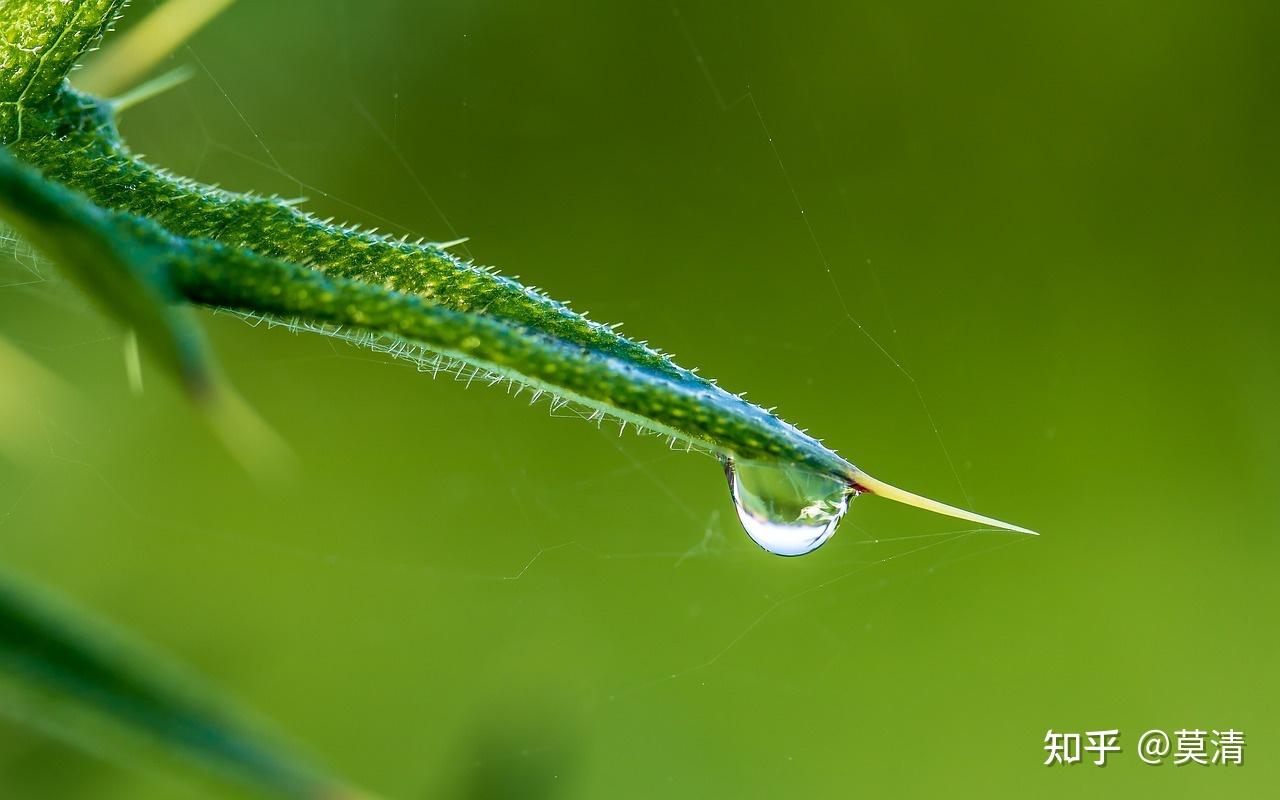 有么有很丧很emo的文案