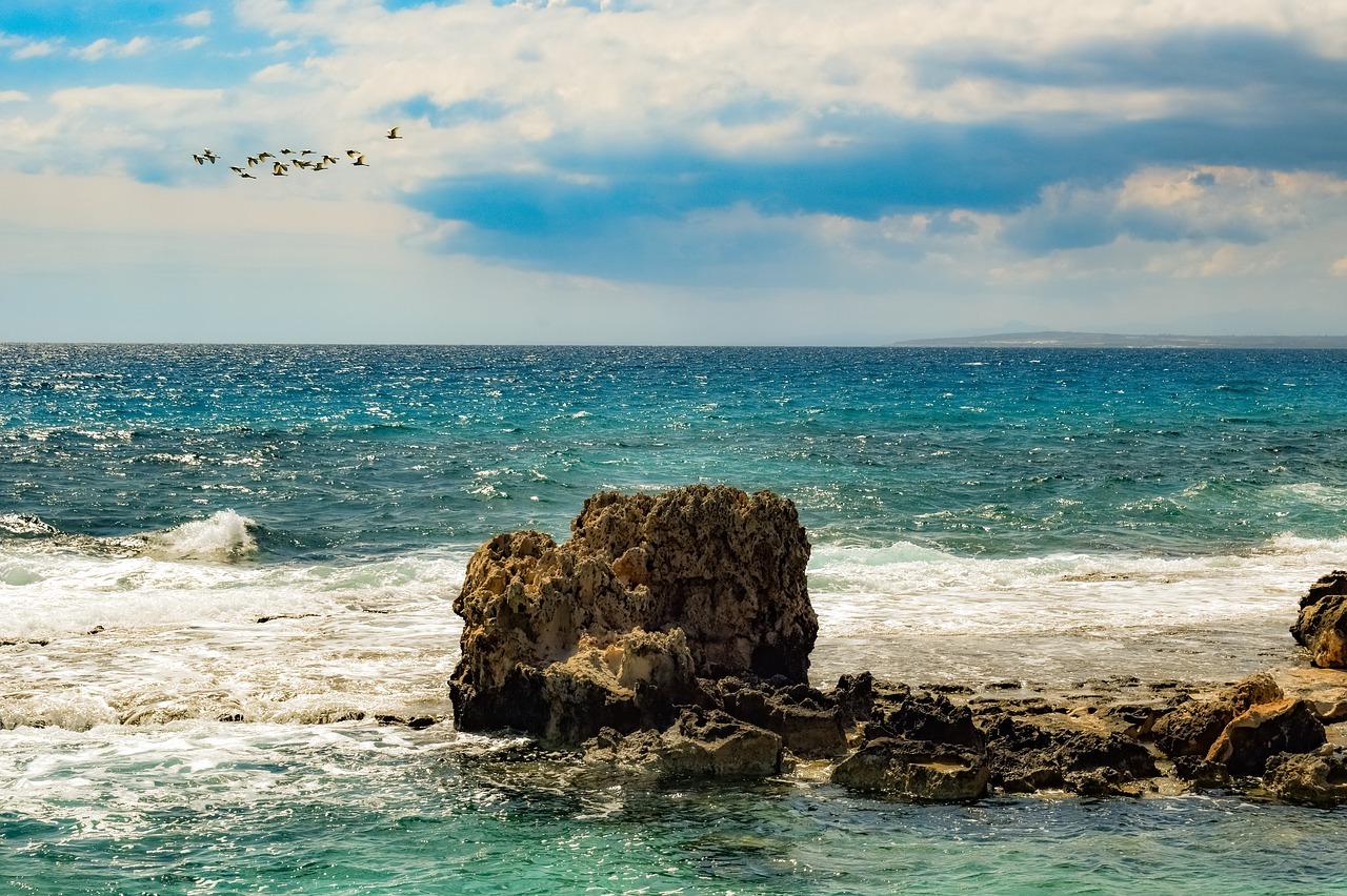 2. 海滨度假养生村