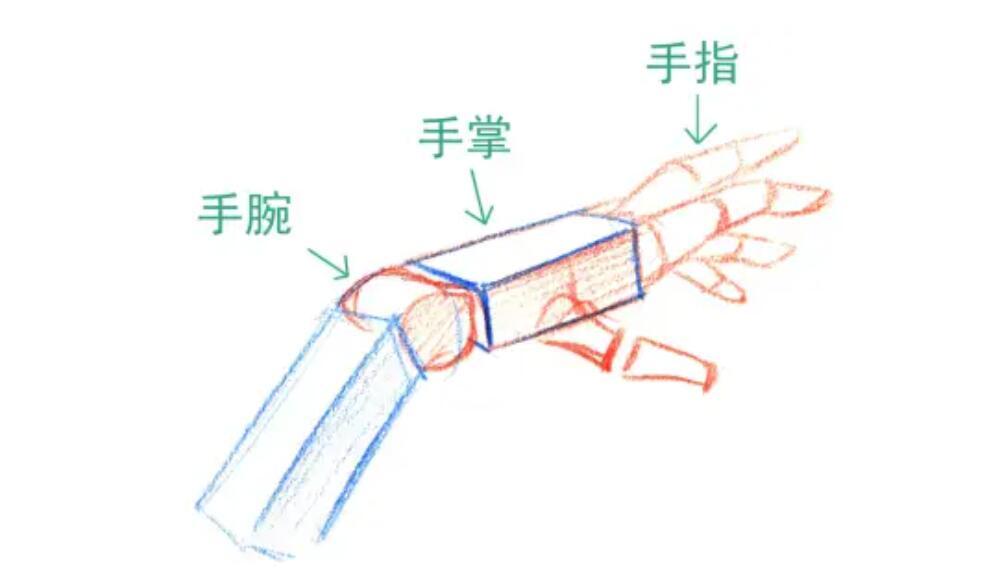 板绘人物【手】结构专项教程 - 知乎