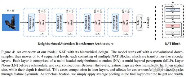 Neighborhood Attention Transformer - 知乎