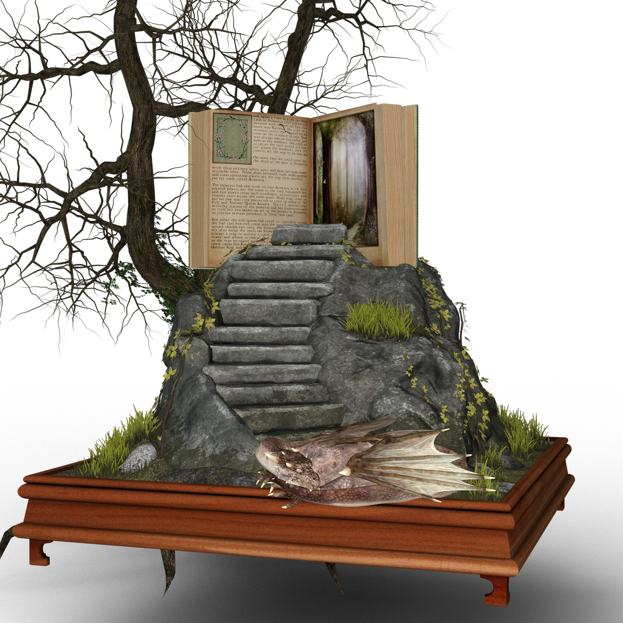 动物们的奇幻冒险