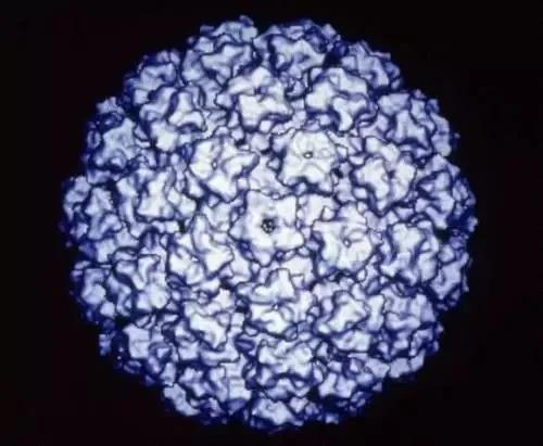 v2-25a2e24b5b15efa056775966524cc7c0_r.jpg