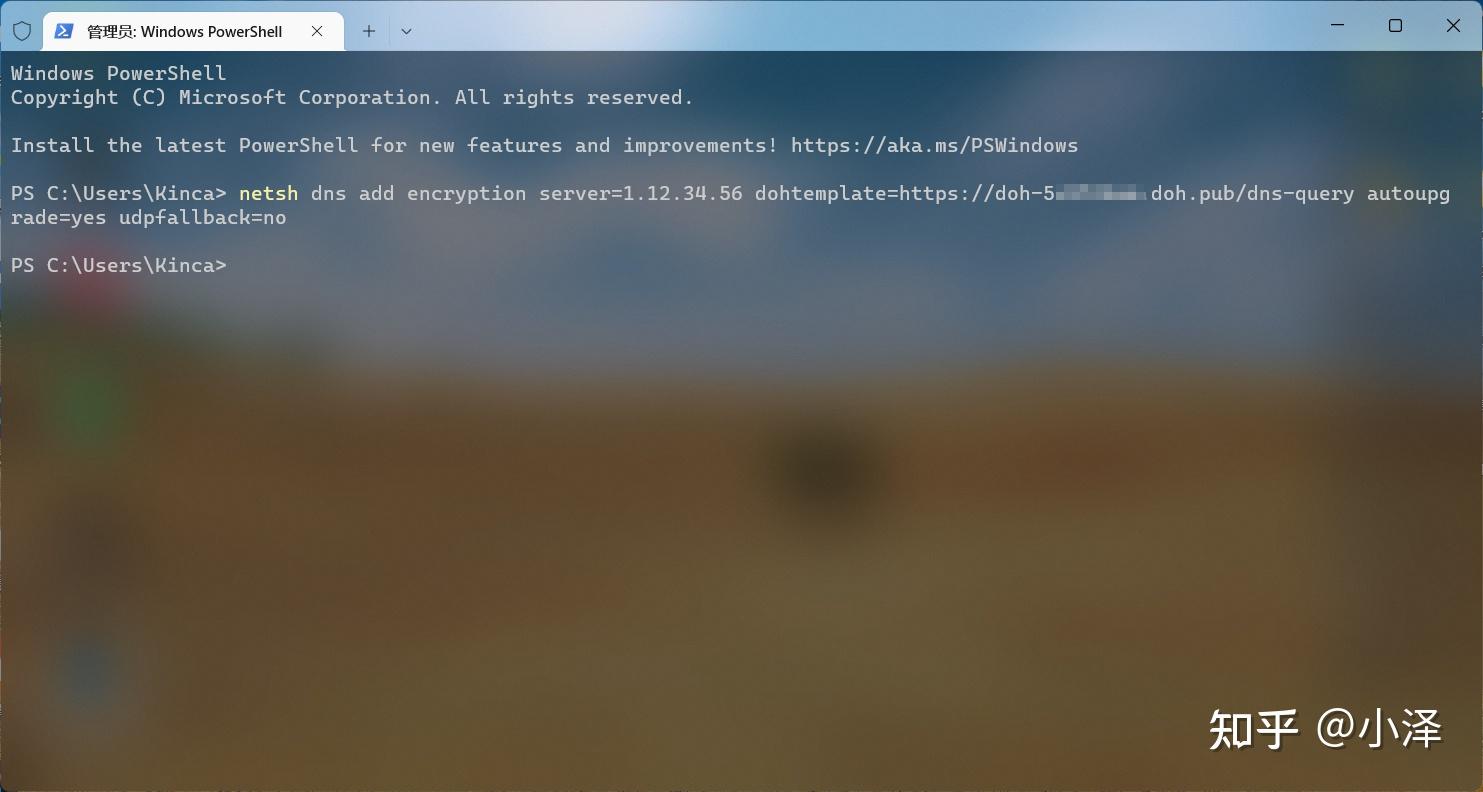 Windows dnspod doh 
