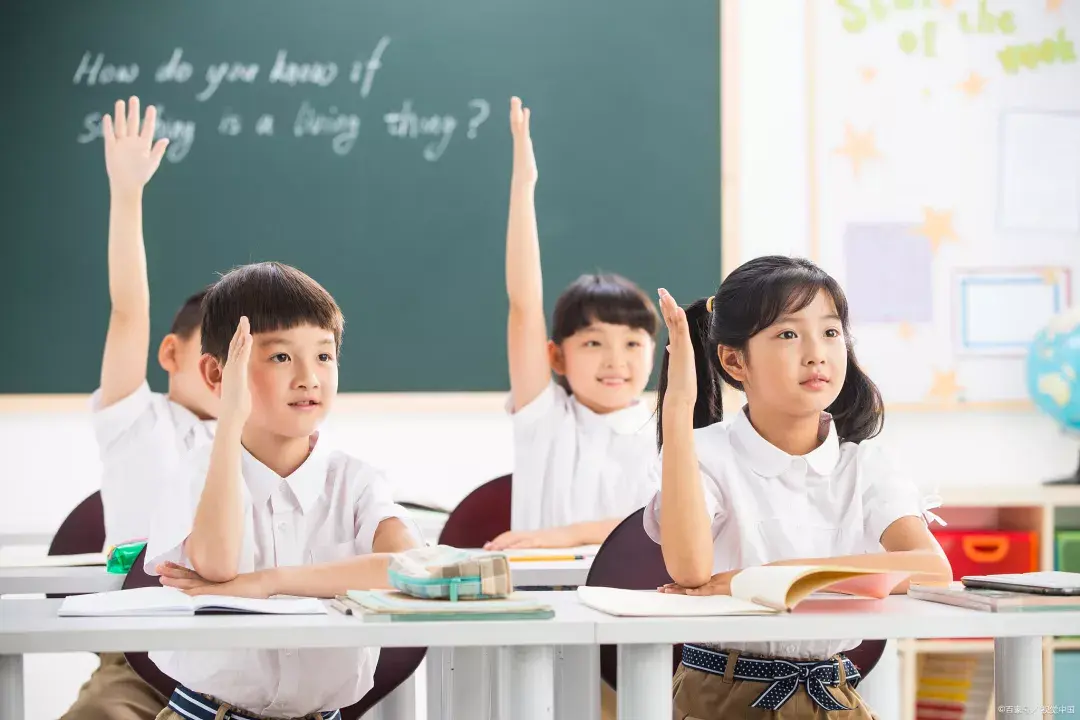 双减政策落地后校外培训班凉了大学生家教火了